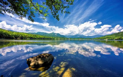 free widescreen wallpaper 1920x1200.